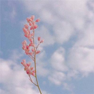 钢铁战队多酷版下载