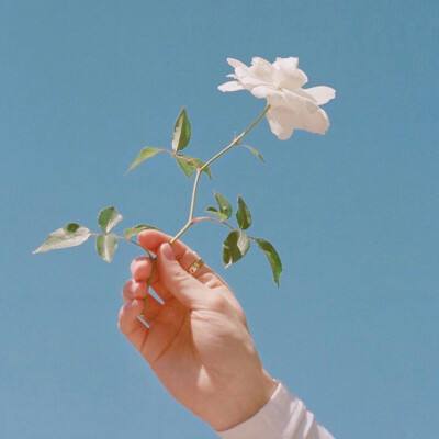 寻龙探宝果盘版下载