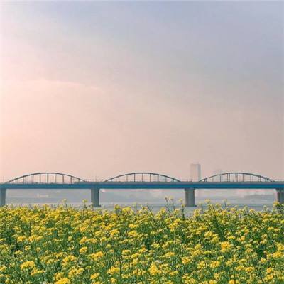 战霸龙城破解版下载