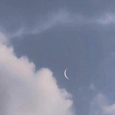 妖怪来了果盘版下载